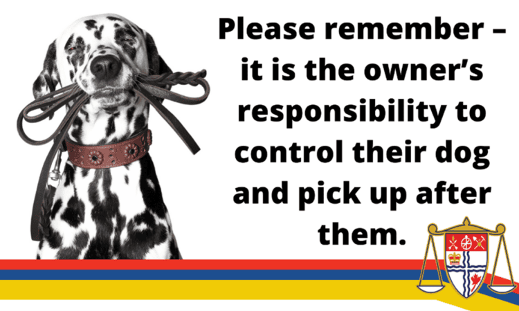 Responsible Dog Ownership in Ottawa: Ensuring Safety and Enjoyment for All Responsible dog ownership and adherence to city guidelines help create a safe and respectful environment where both dogs and the community can thrive together.